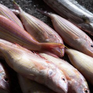 NOAA Accepting Comments for Proposed Plan to Double SIMP Targeted Species